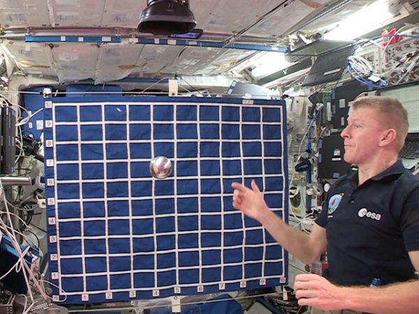 Extra: chasing the ball!